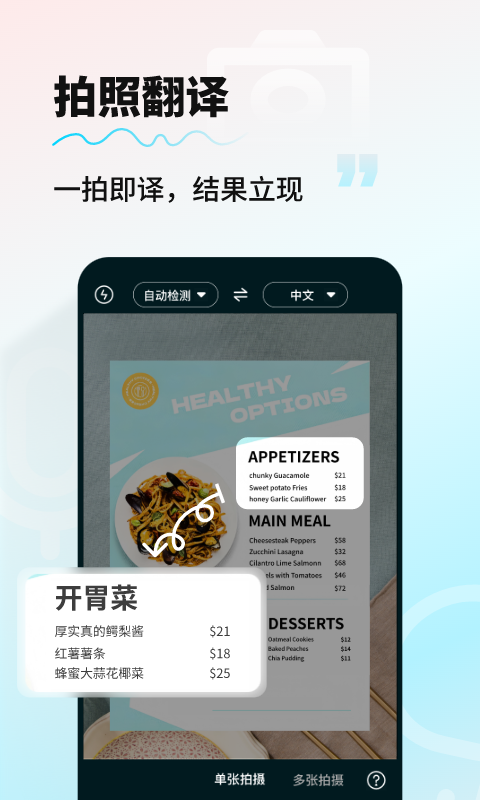 桌面端 AI 翻译工具界面